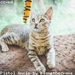 cat 15